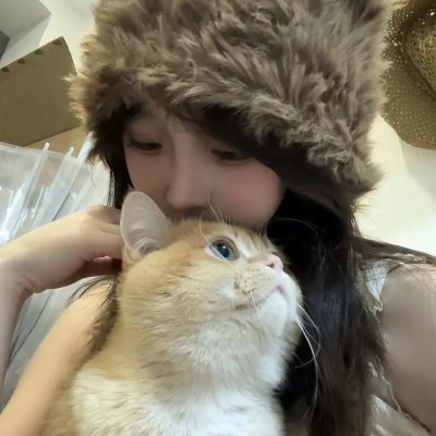 七只狐狸